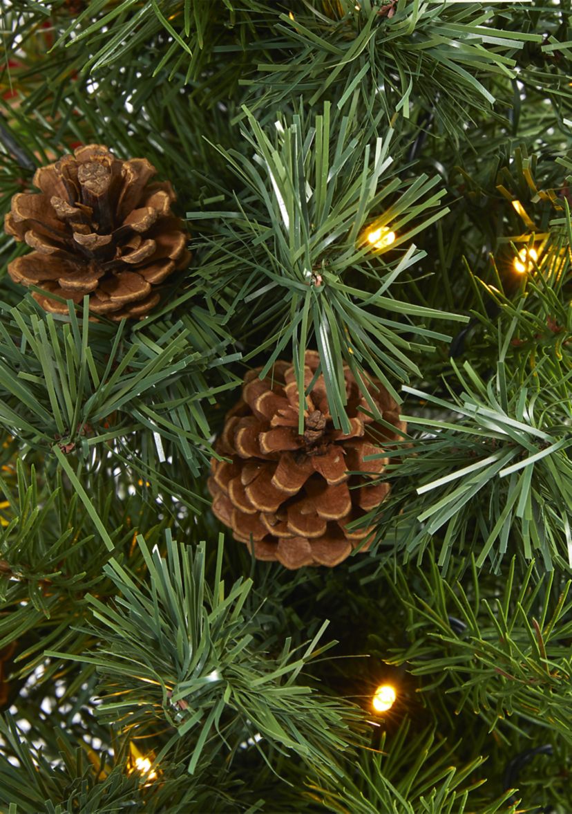 Fraser Fir Christmas Tree