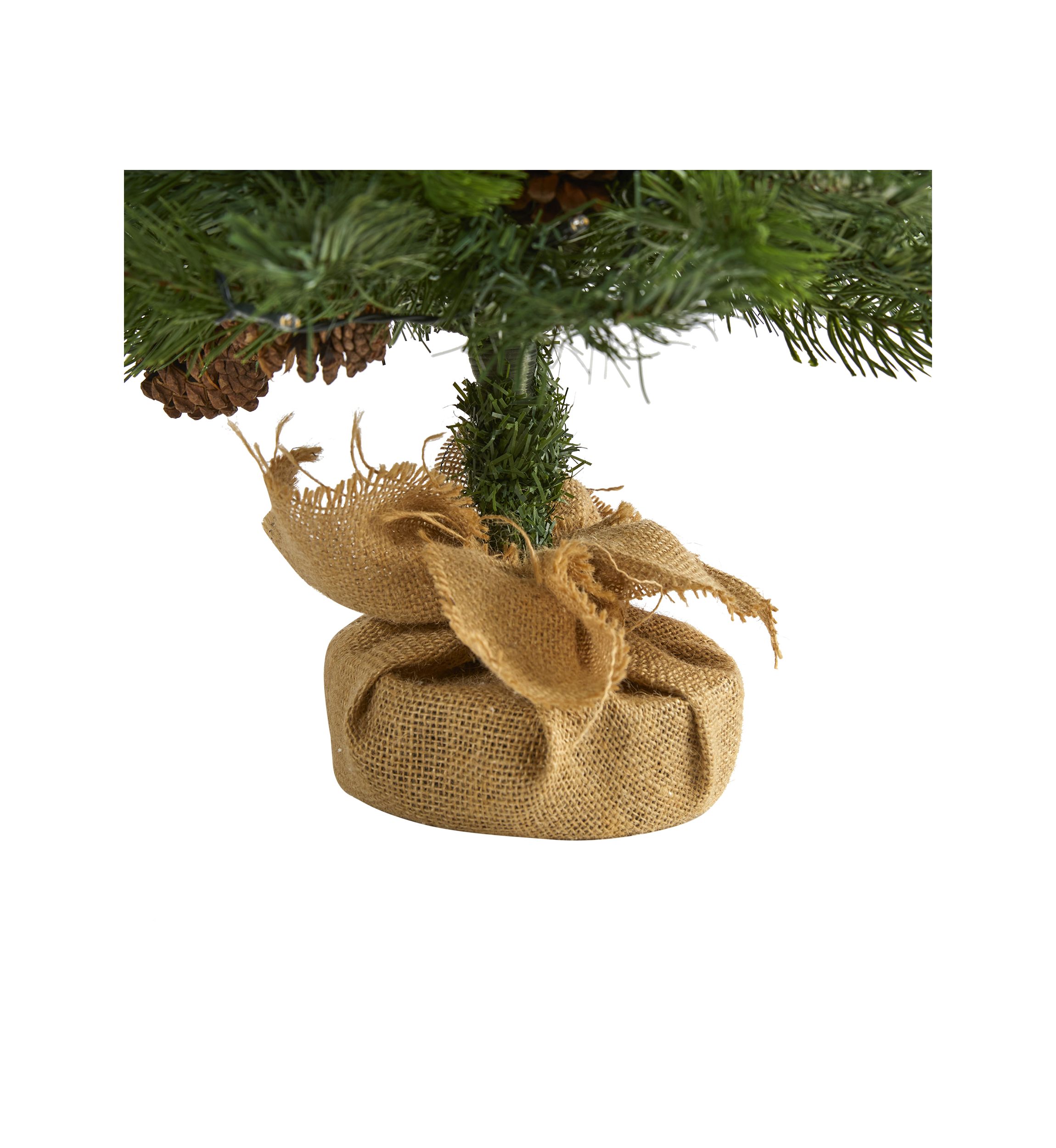 Fraser Fir Christmas Tree