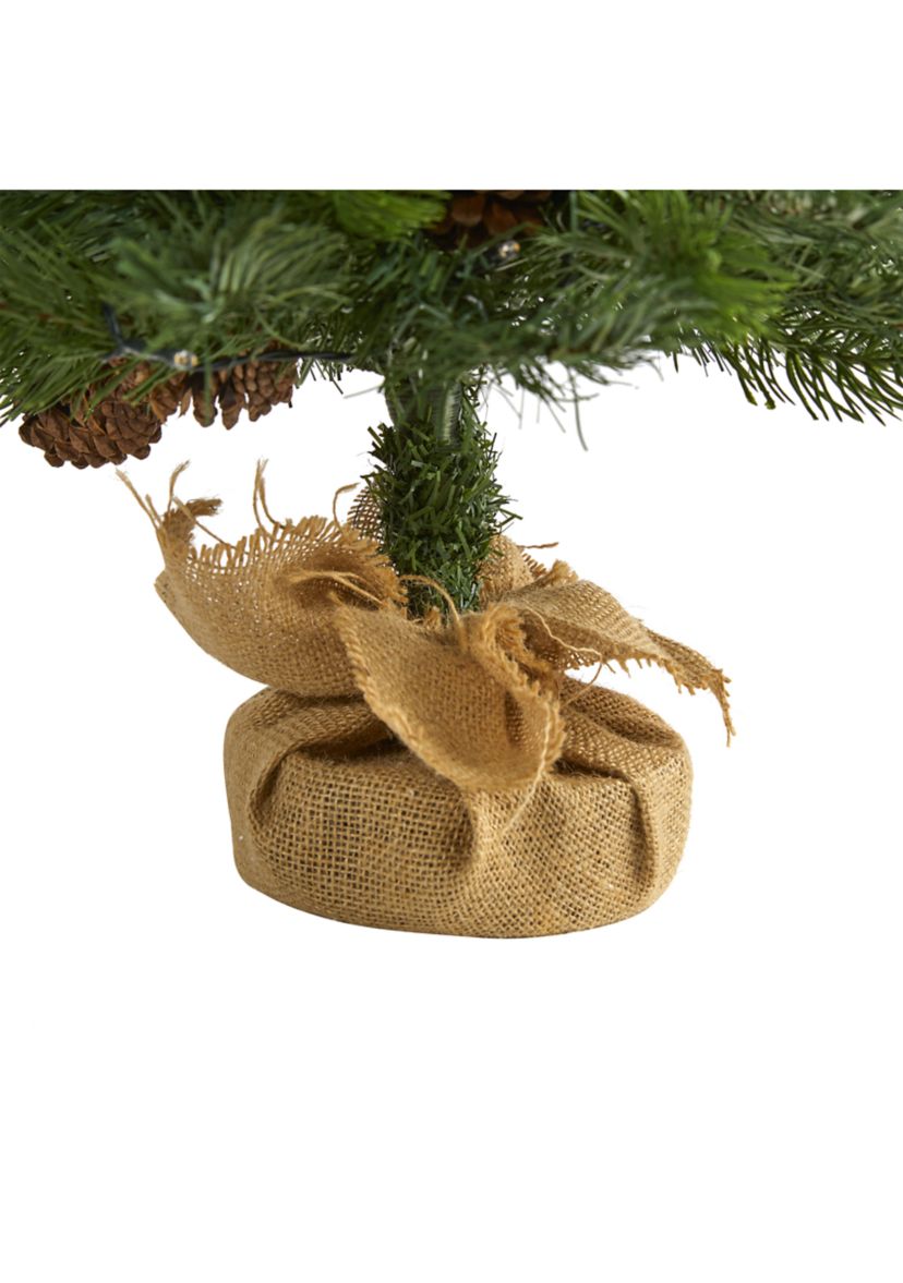 Fraser Fir Christmas Tree