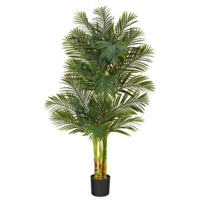 Nearly Natural 6-Foot Golden Cane Artificial Palm Tree