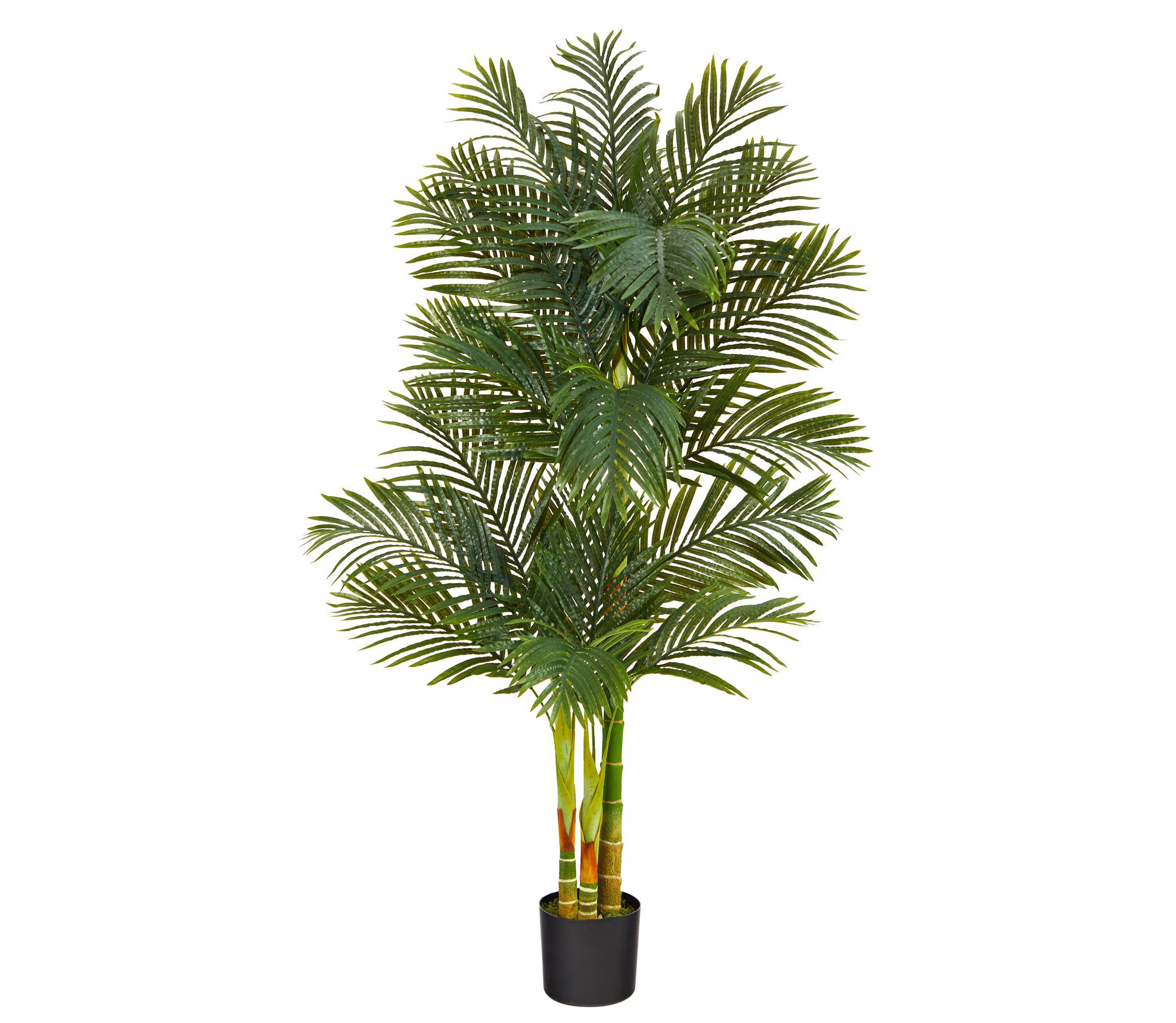 6-Foot Golden Cane Artificial Palm Tree