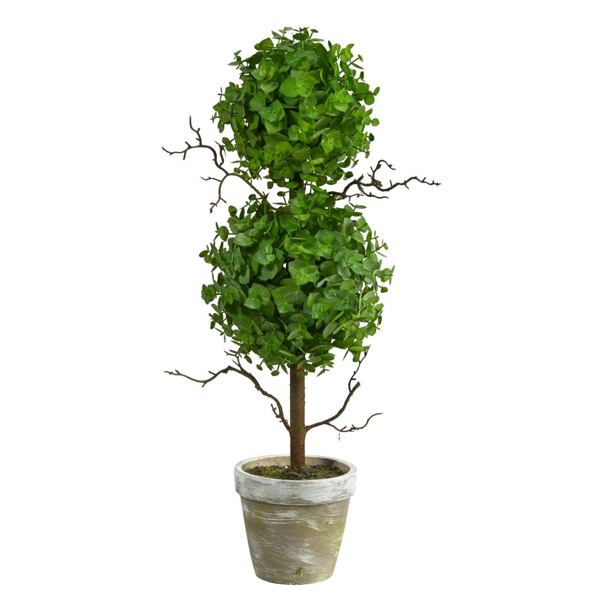 2-Foot Eucalyptus Double Ball Topiary Artificial Tree