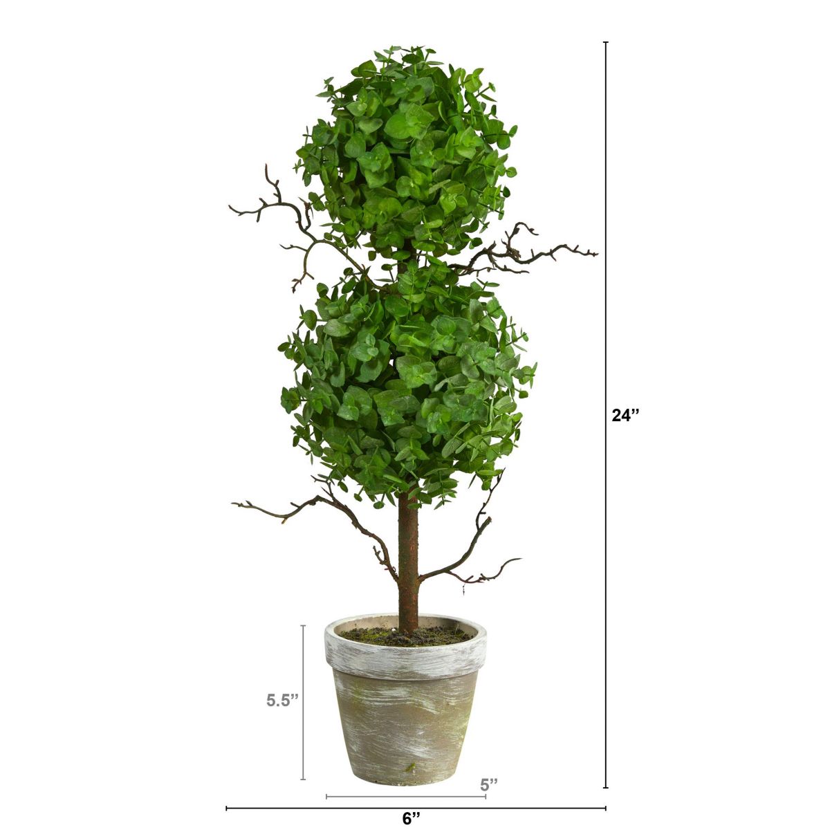 2-Foot Eucalyptus Double Ball Topiary Artificial Tree