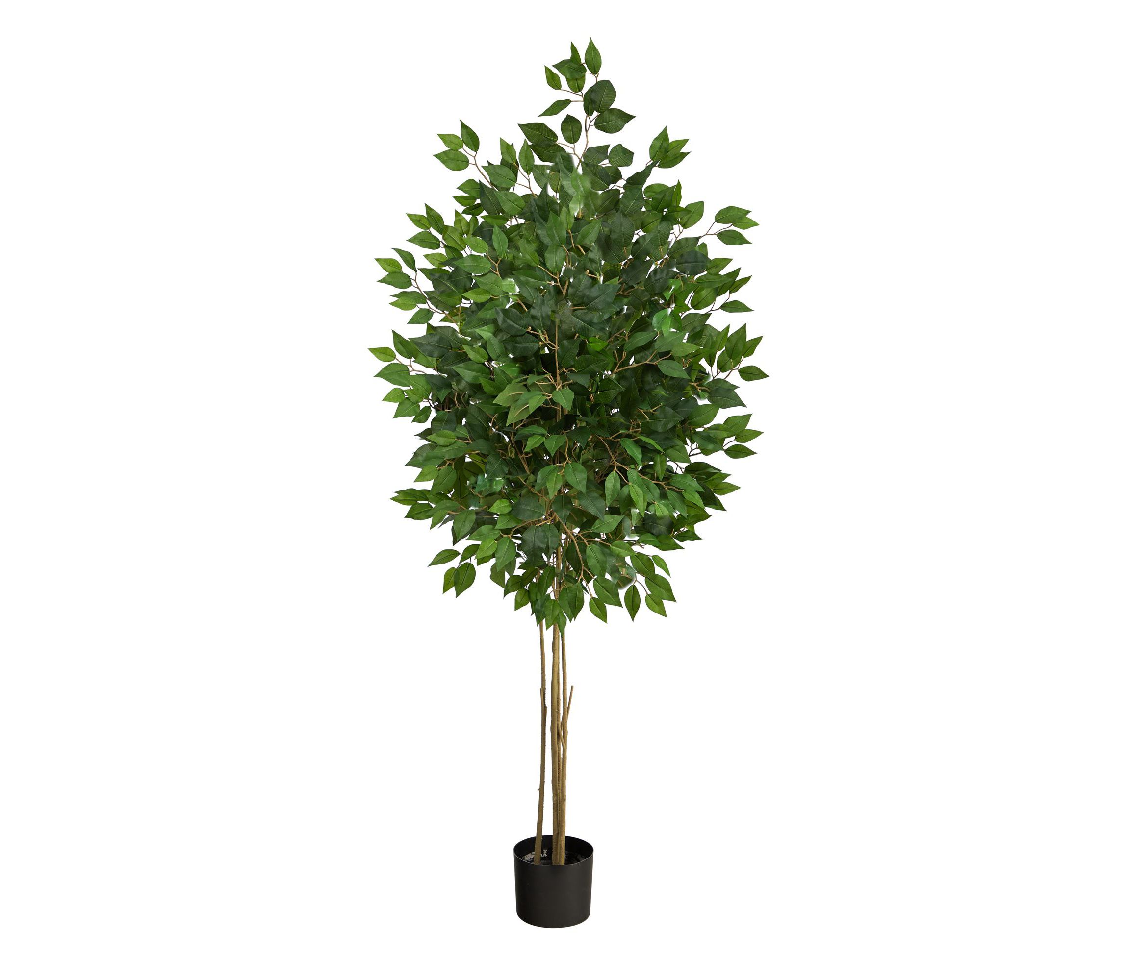 64-Inch Ficus Artificial Tree UV Resistant (Indoor/Outdoor)