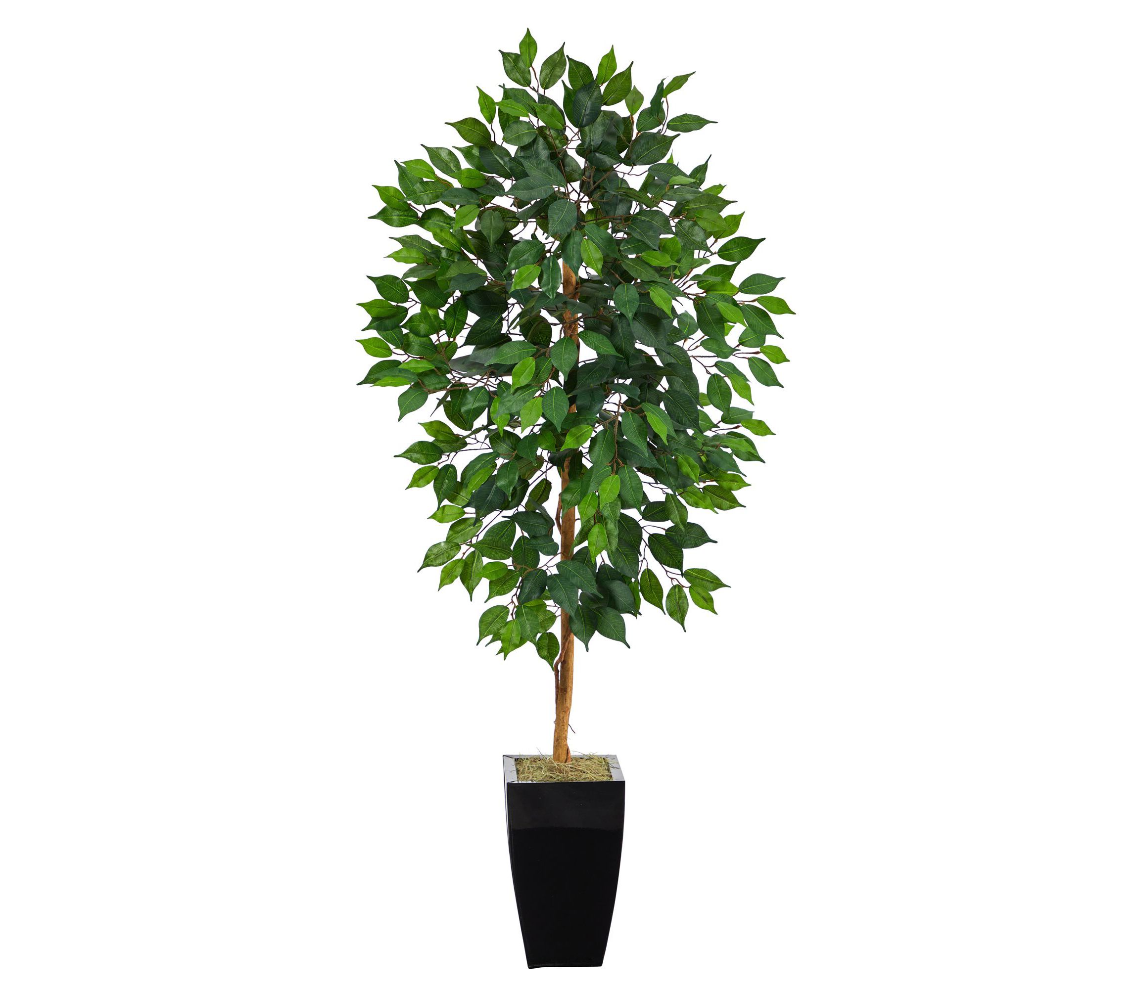 4.5-Foot Ficus Artificial Tree in Black Metal Planter