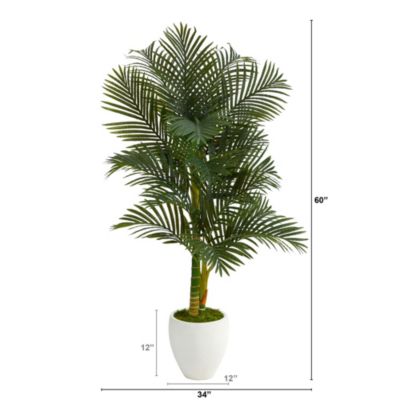 5-Foot Paradise Palm Artificial Tree in White Planter