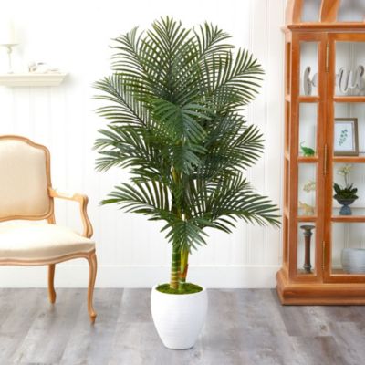 5-Foot Paradise Palm Artificial Tree in White Planter