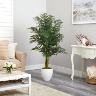 5-Foot Paradise Palm Artificial Tree in White Planter