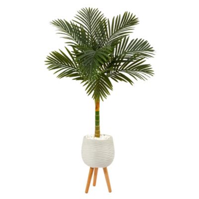 Nearly Natural 5-Foot Golden Cane Artificial Palm Tree in White Planter with Stand, Green
