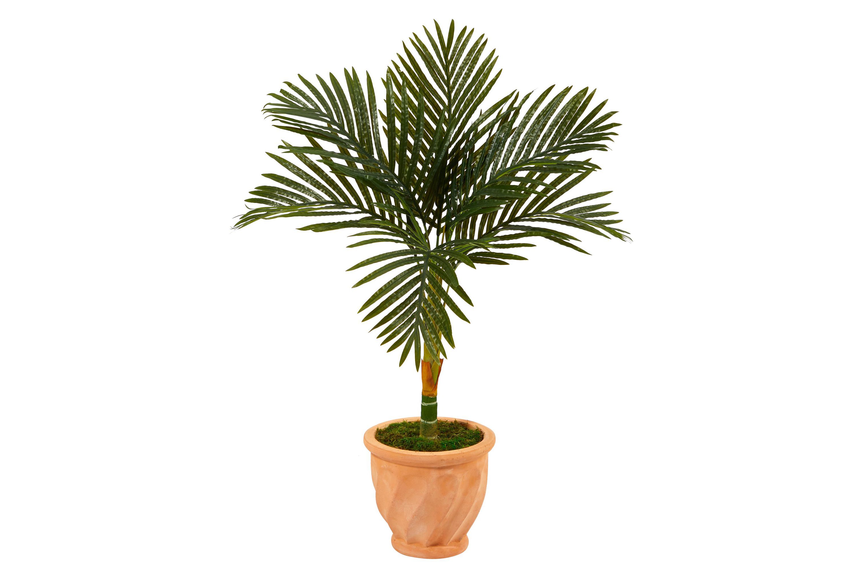 3.5-Foot Golden Cane Artificial Palm Tree in Terra-Cotta Planter