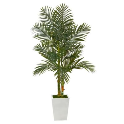 5.5-Foot Golden Cane Artificial Palm Tree in White Metal Planter