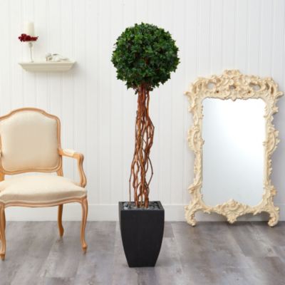 64-Inch English Ivy Single Ball Artificial Topiary Tree in Black Planter UV Resistant (Indoor/Outdoor)