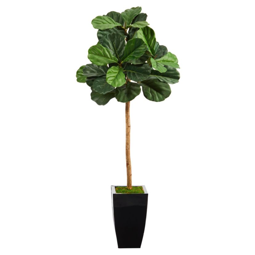 50-Inch Fiddle Leaf Artificial Tree in Black Metal Planter