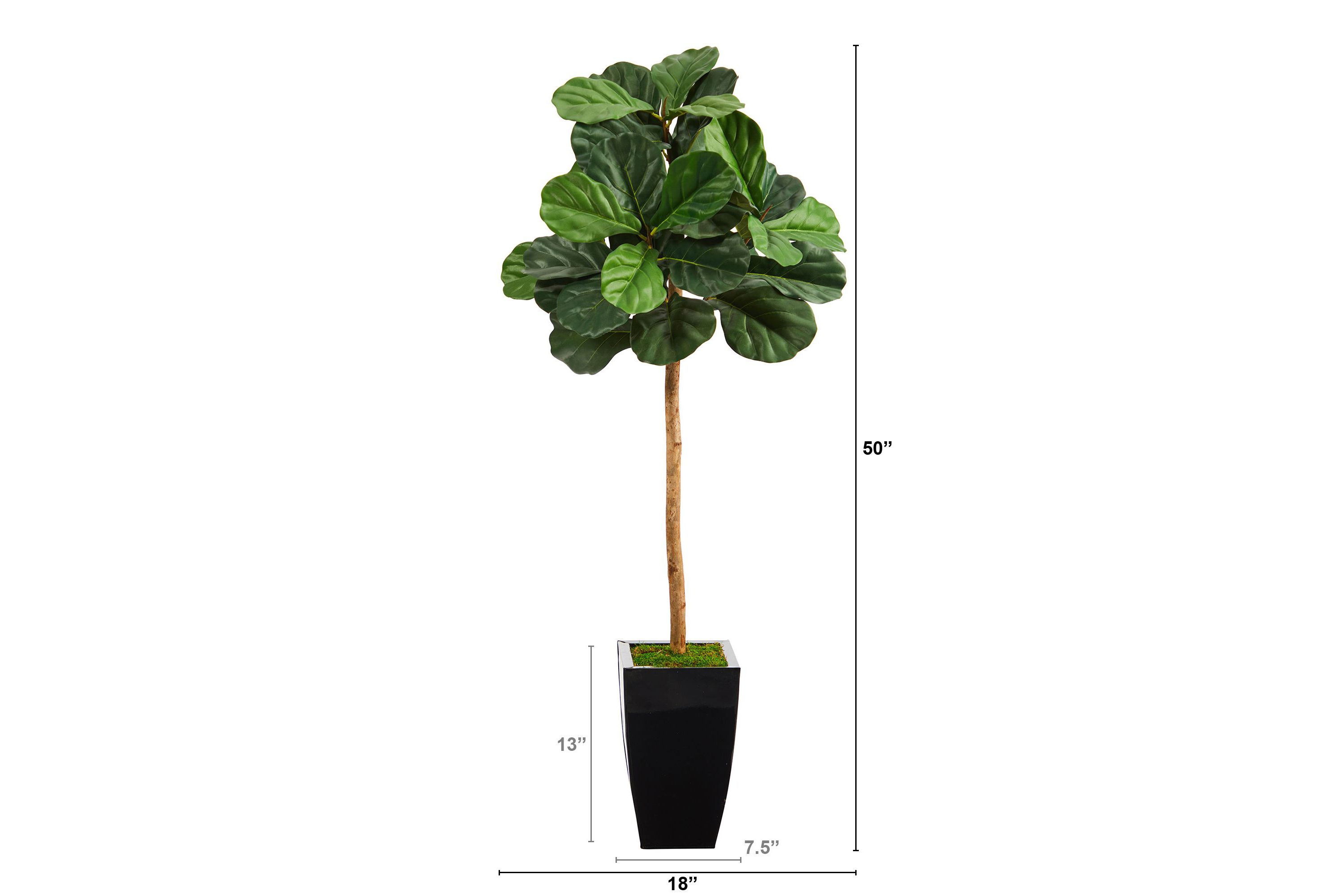 50-Inch Fiddle Leaf Artificial Tree in Black Metal Planter