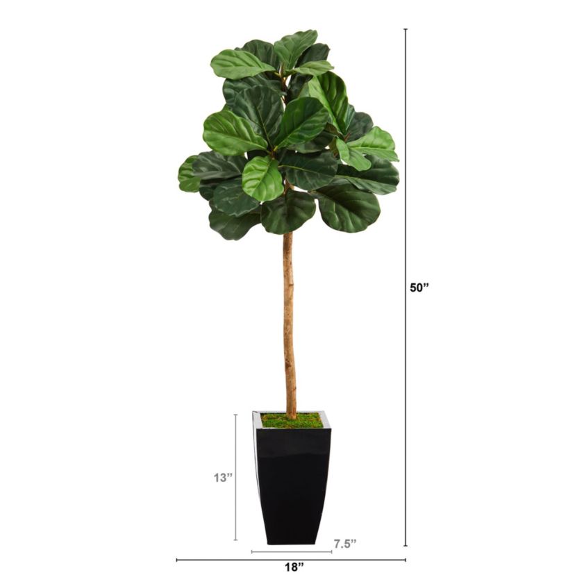 50-Inch Fiddle Leaf Artificial Tree in Black Metal Planter