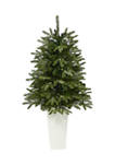 44 Inch Snowed Grand Teton Fir Artificial Christmas Tree with 50 Clear Lights and 111 Bendable Branches in Planter