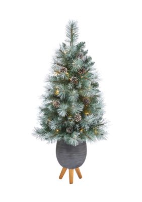 Nearly Natural 3.5 Foot Frosted Tip British Columbia Mountain Pine Artificial Christmas Tree with 50 Clear Lights -  7601559T2275