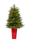 3.5 Foot Yukon Mountain Fir Artificial Christmas Tree with 50 Clear Lights and Pine Cones in Red Planter