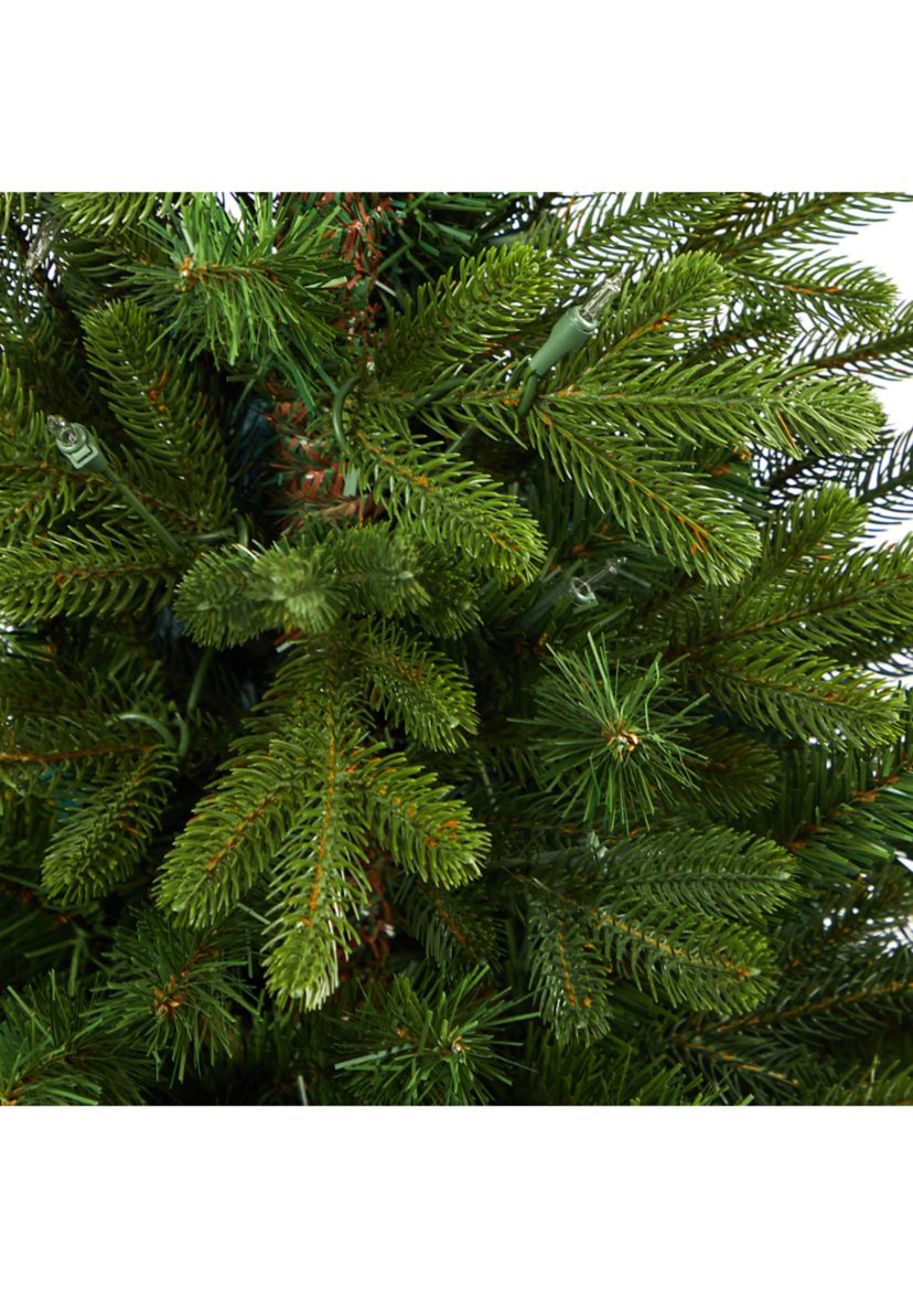 3.5 Foot Washington Fir Artificial Christmas Tree with 50 Clear Lights in Tower Planter