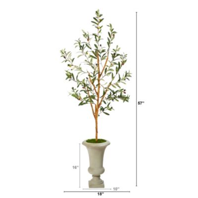 57-Inch Olive Artificial Tree in Sand Colored Urn