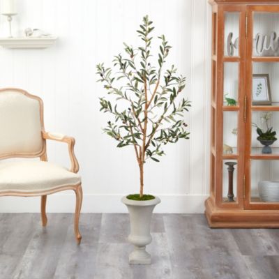 57-Inch Olive Artificial Tree in Sand Colored Urn