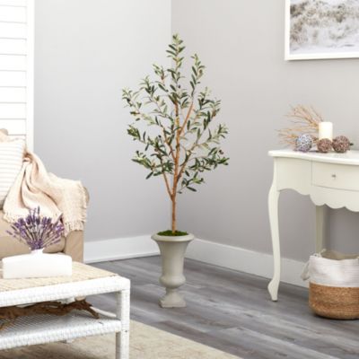 57-Inch Olive Artificial Tree in Sand Colored Urn