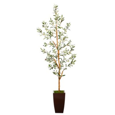 5.5-Foot Olive Artificial Tree in Bronze Metal Planter