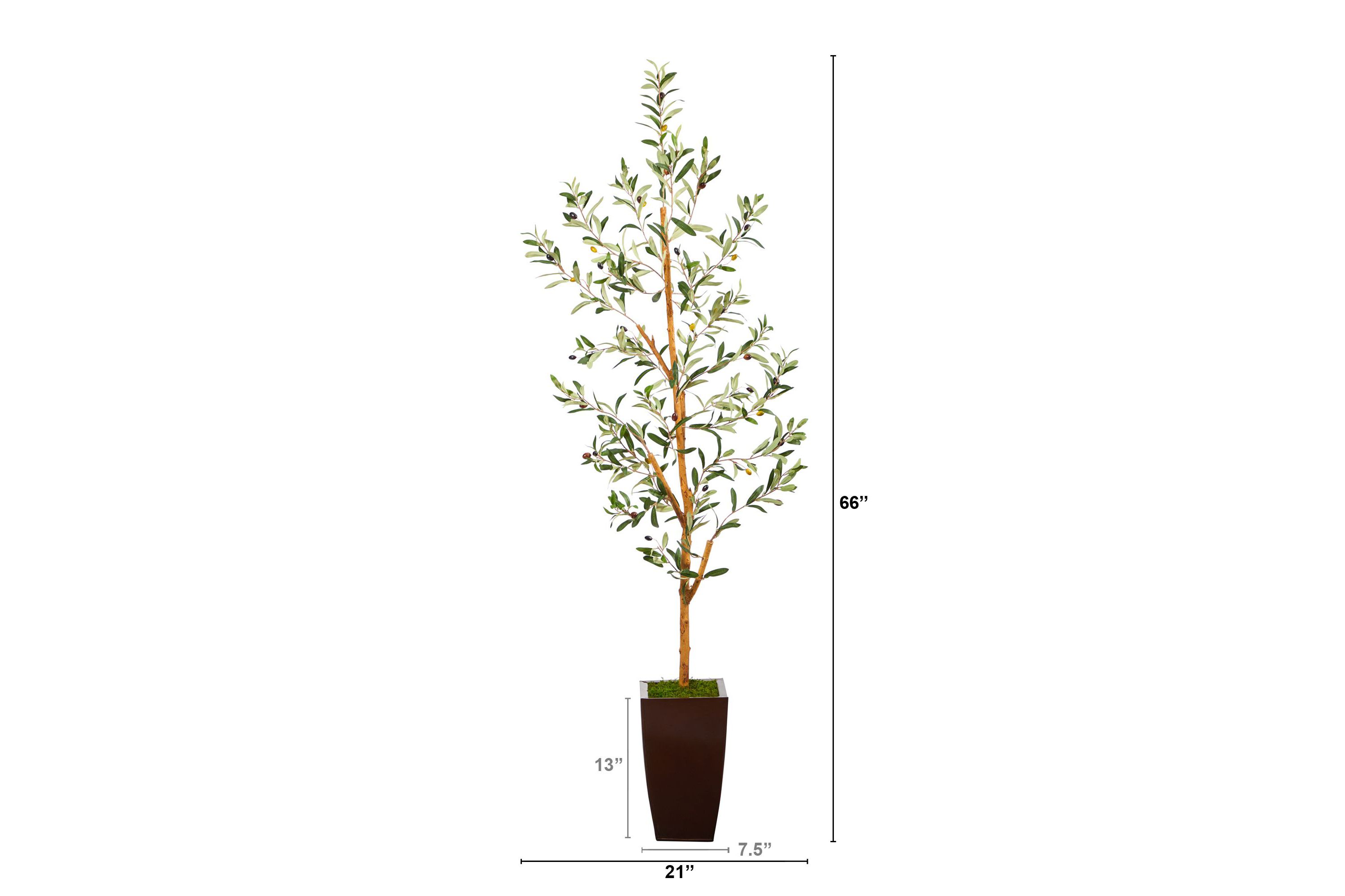 5.5-Foot Olive Artificial Tree in Bronze Metal Planter