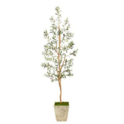 Inch Olive Artificial Tree in Country White Planter