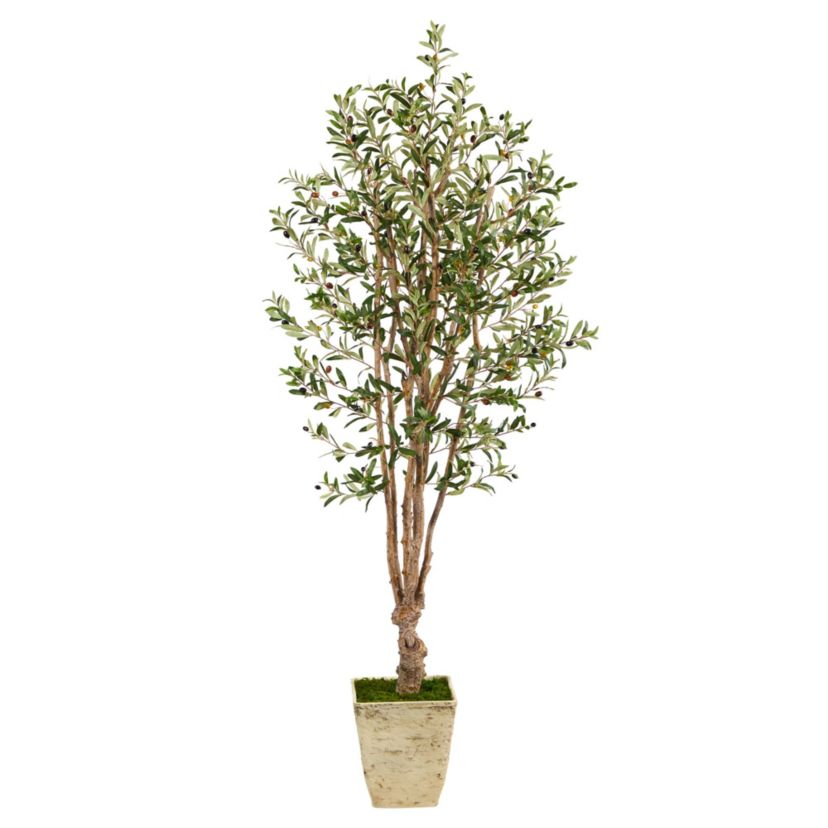 6.5-Foot Olive Artificial Tree in Country White Planter