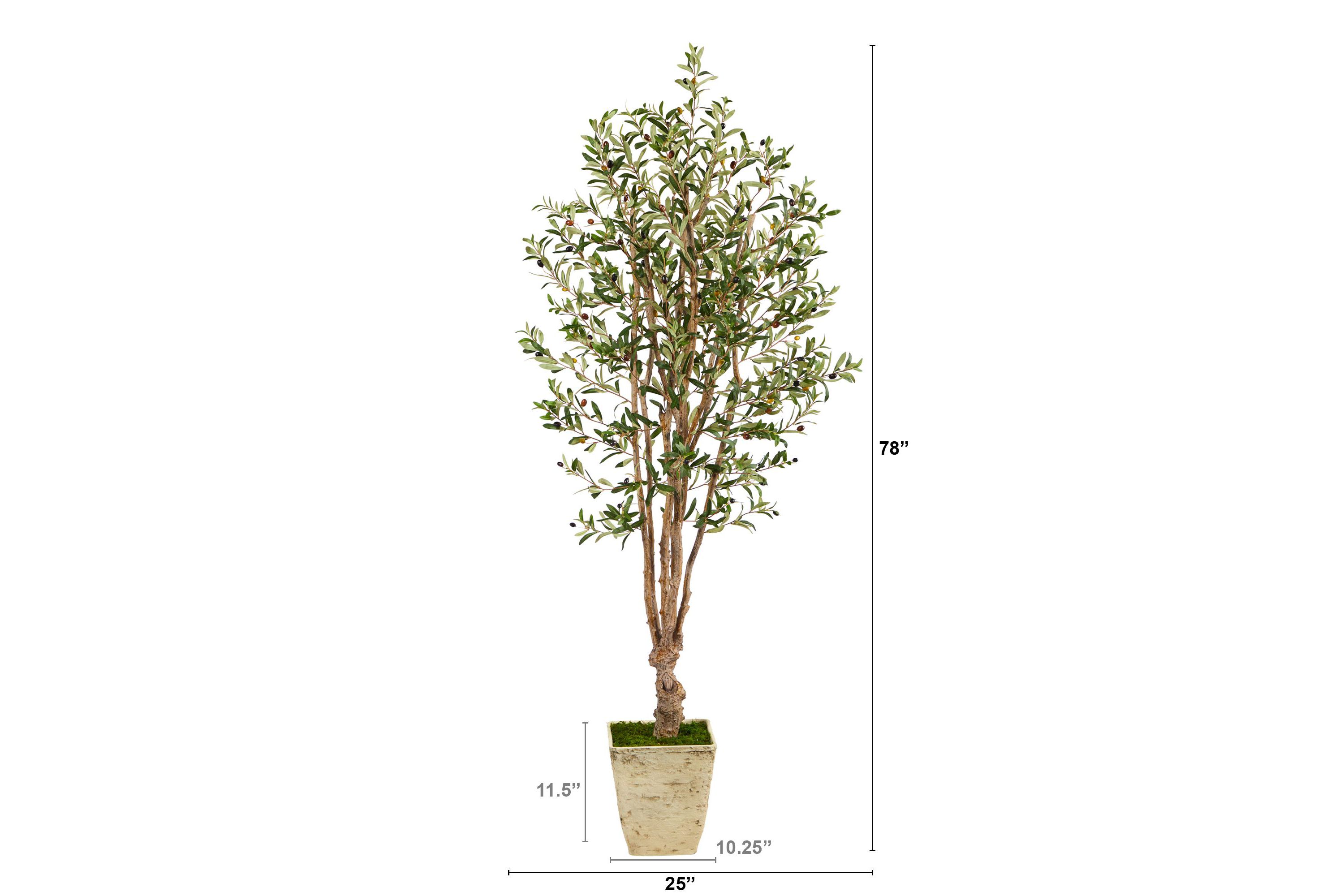 6.5-Foot Olive Artificial Tree in Country White Planter