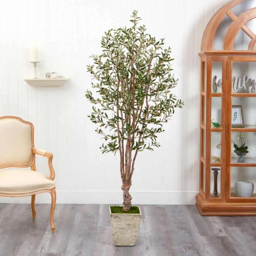 6.5-Foot Olive Artificial Tree in Country White Planter