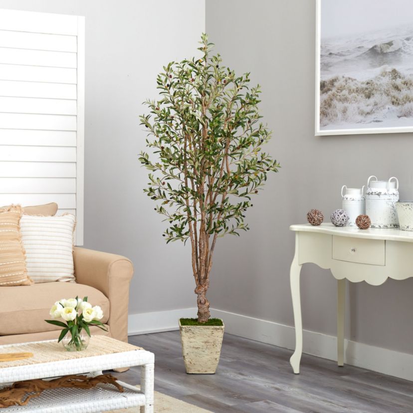 6.5-Foot Olive Artificial Tree in Country White Planter