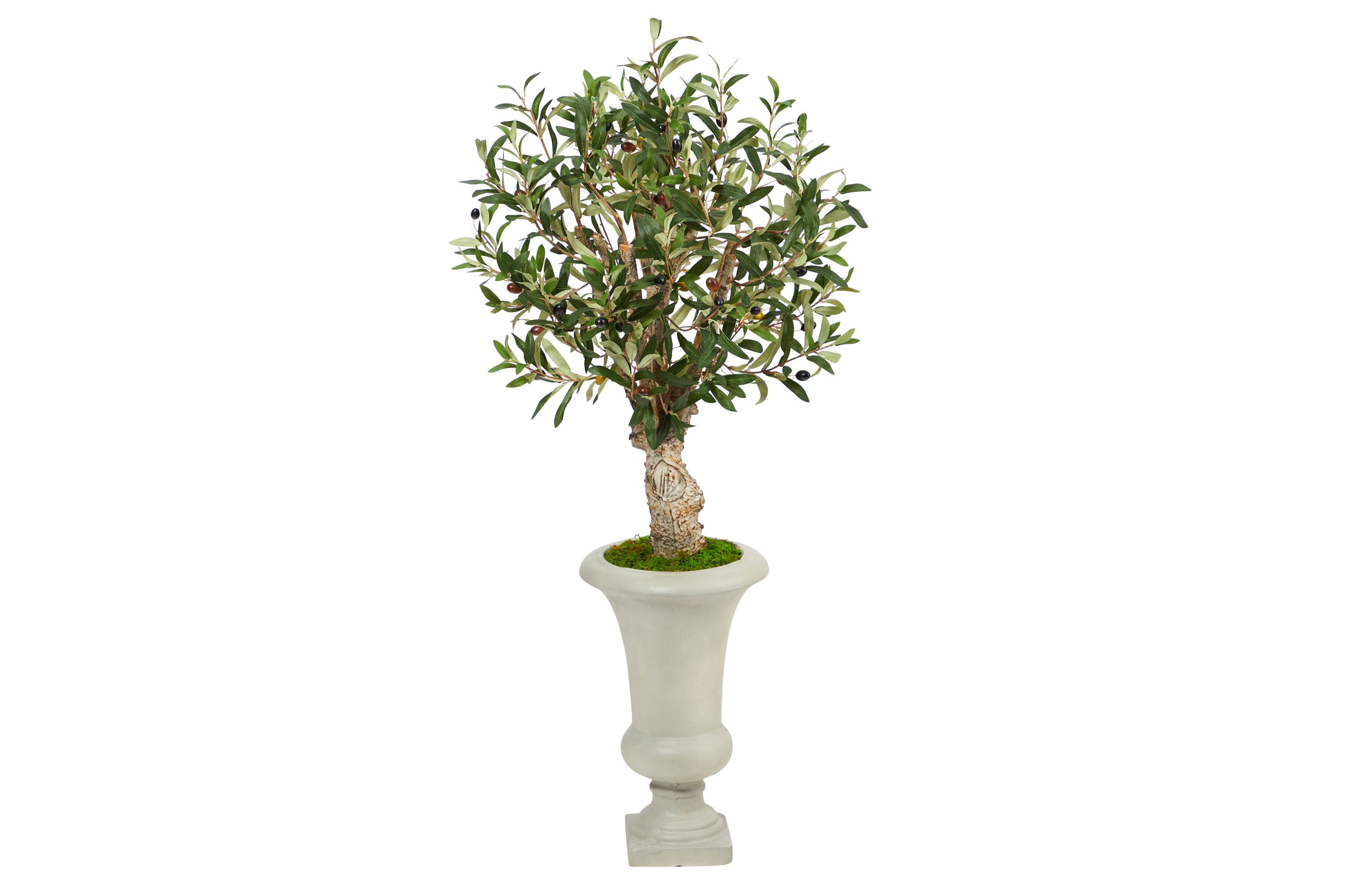 3.5-Foot Olive Artificial Tree in Sand Colored Urn