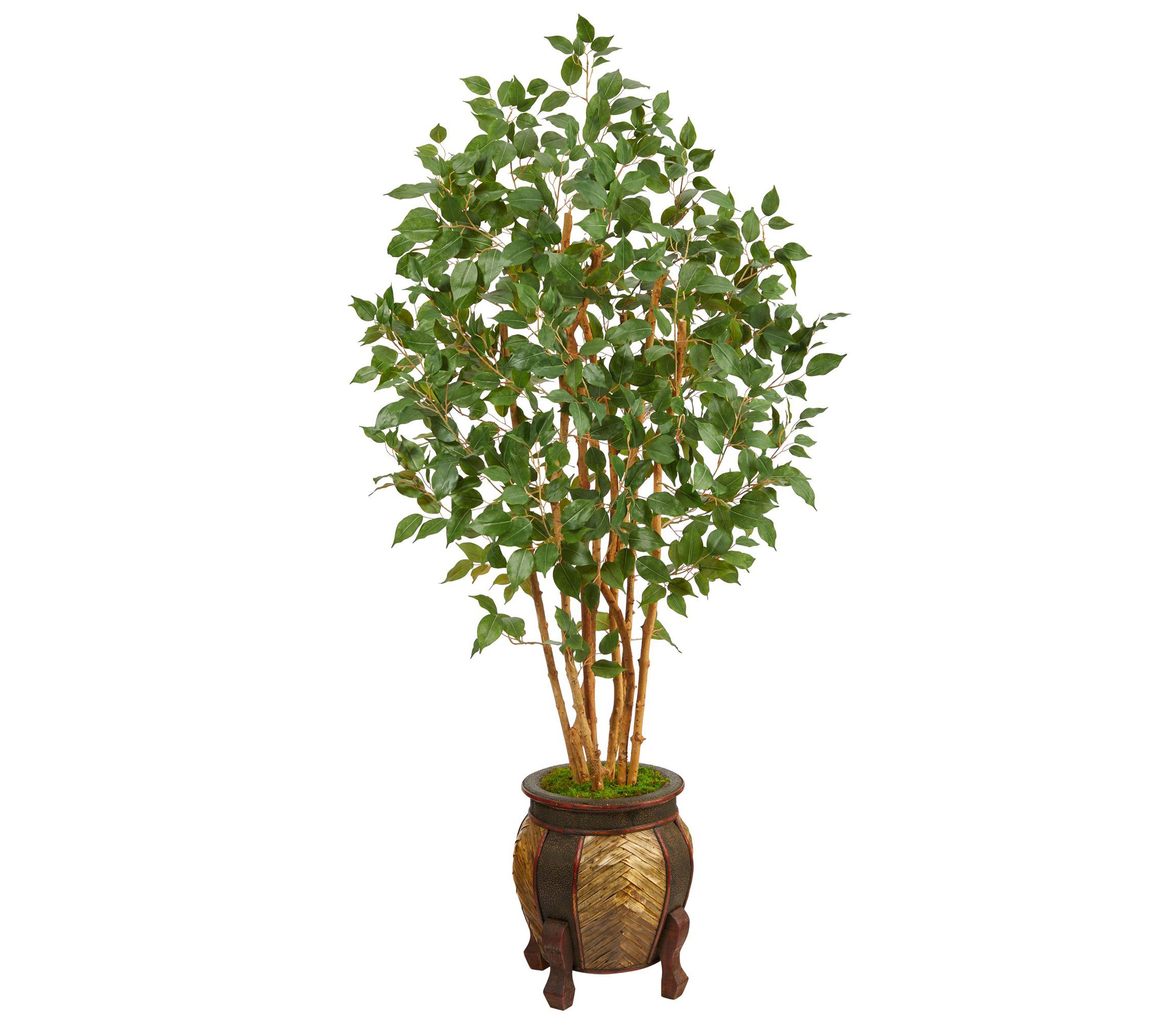 5.5-Foot Ficus Bushy Artificial Tree in Decorative Planter