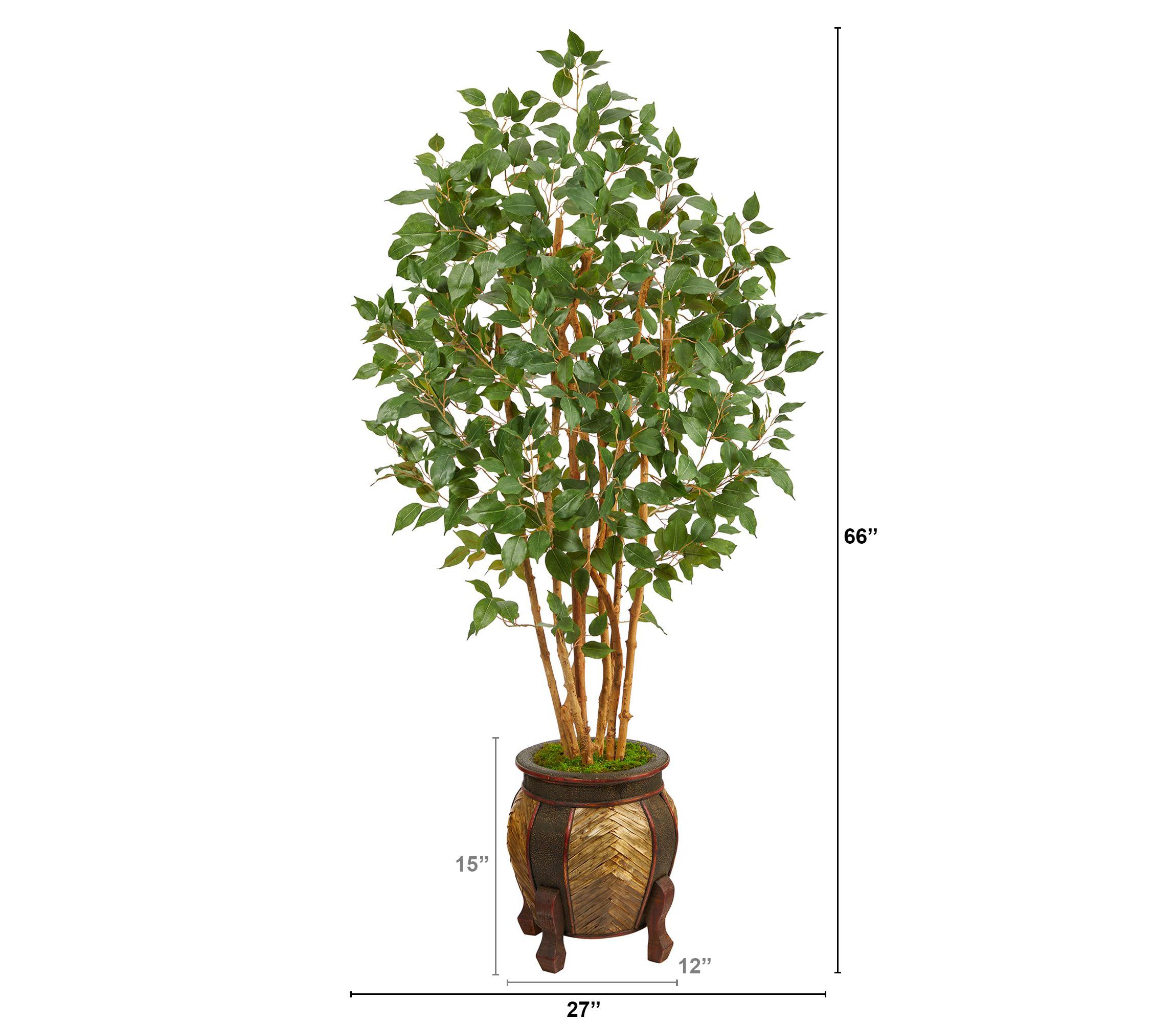 5.5-Foot Ficus Bushy Artificial Tree in Decorative Planter