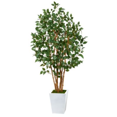 Nearly Natural 5.5-Foot Ficus Bushy Artificial Tree in White Metal Planter, Green