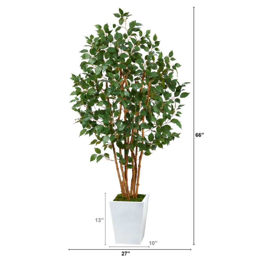 5.5-Foot Ficus Bushy Artificial Tree in White Metal Planter