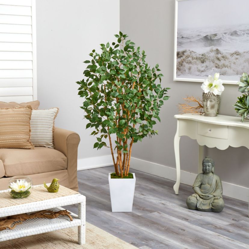 5.5-Foot Ficus Bushy Artificial Tree in White Metal Planter