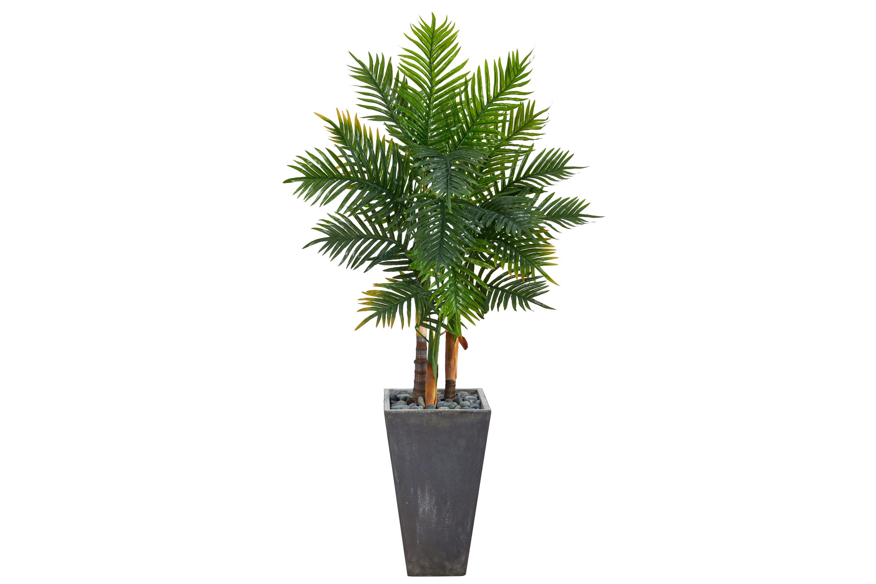 63-Inch Areca Artificial Palm Tree in Cement Planter (Real Touch)
