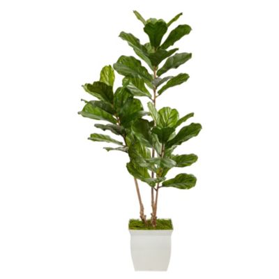 5.5-Foot Fiddle Leaf Artificial Tree in White Metal Planter UV Resistant (Indoor/Outdoor)