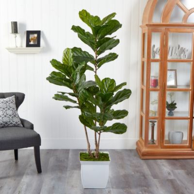 5.5-Foot Fiddle Leaf Artificial Tree in White Metal Planter UV Resistant (Indoor/Outdoor)