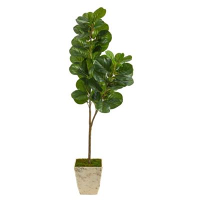 5.5-Foot Fiddle leaf Fig Artificial Tree in Country White Planter