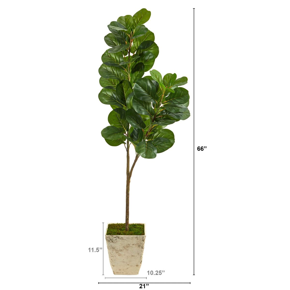 5.5-Foot Fiddle leaf Fig Artificial Tree in Country White Planter