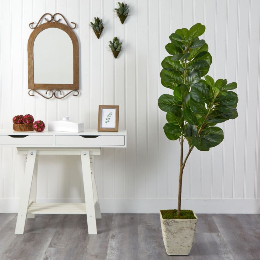 5.5-Foot Fiddle leaf Fig Artificial Tree in Country White Planter