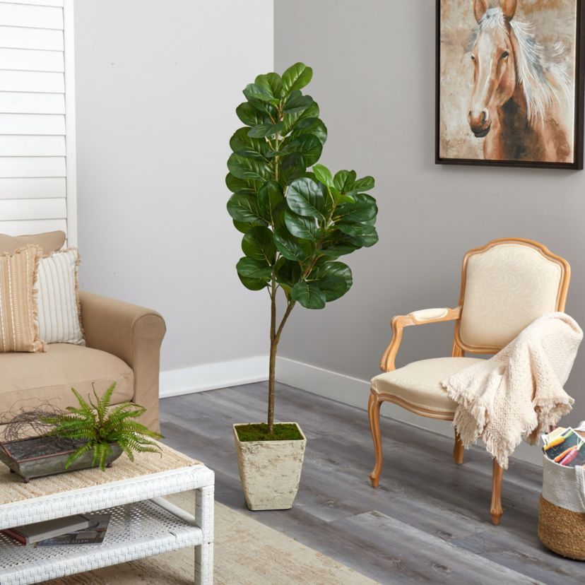 5.5-Foot Fiddle leaf Fig Artificial Tree in Country White Planter