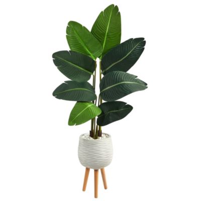 5-Foot Travelers Palm Artificial Tree in White Planter with Stand