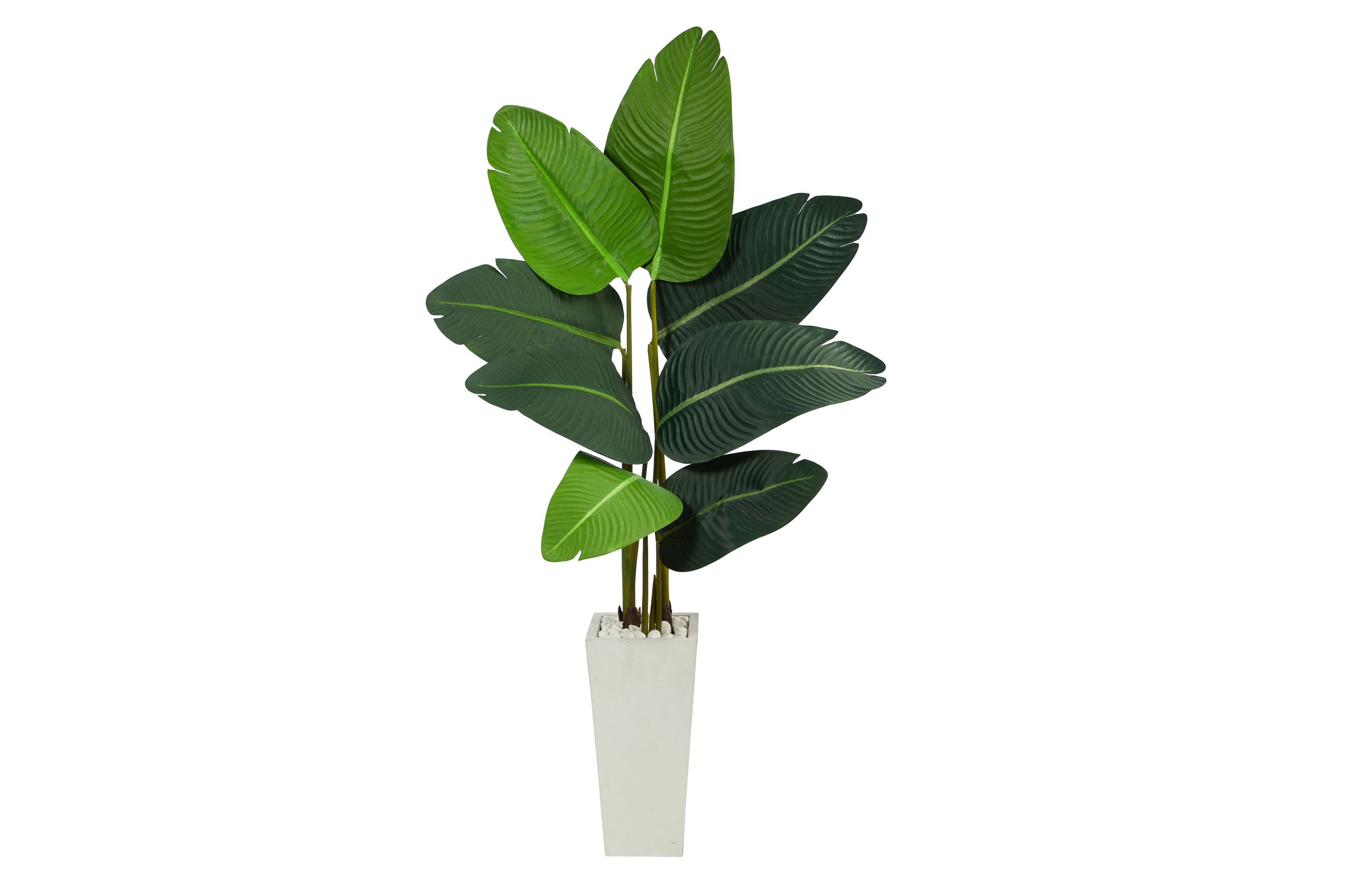 4.5-Foot Travelers Palm Artificial Tree in White Planter