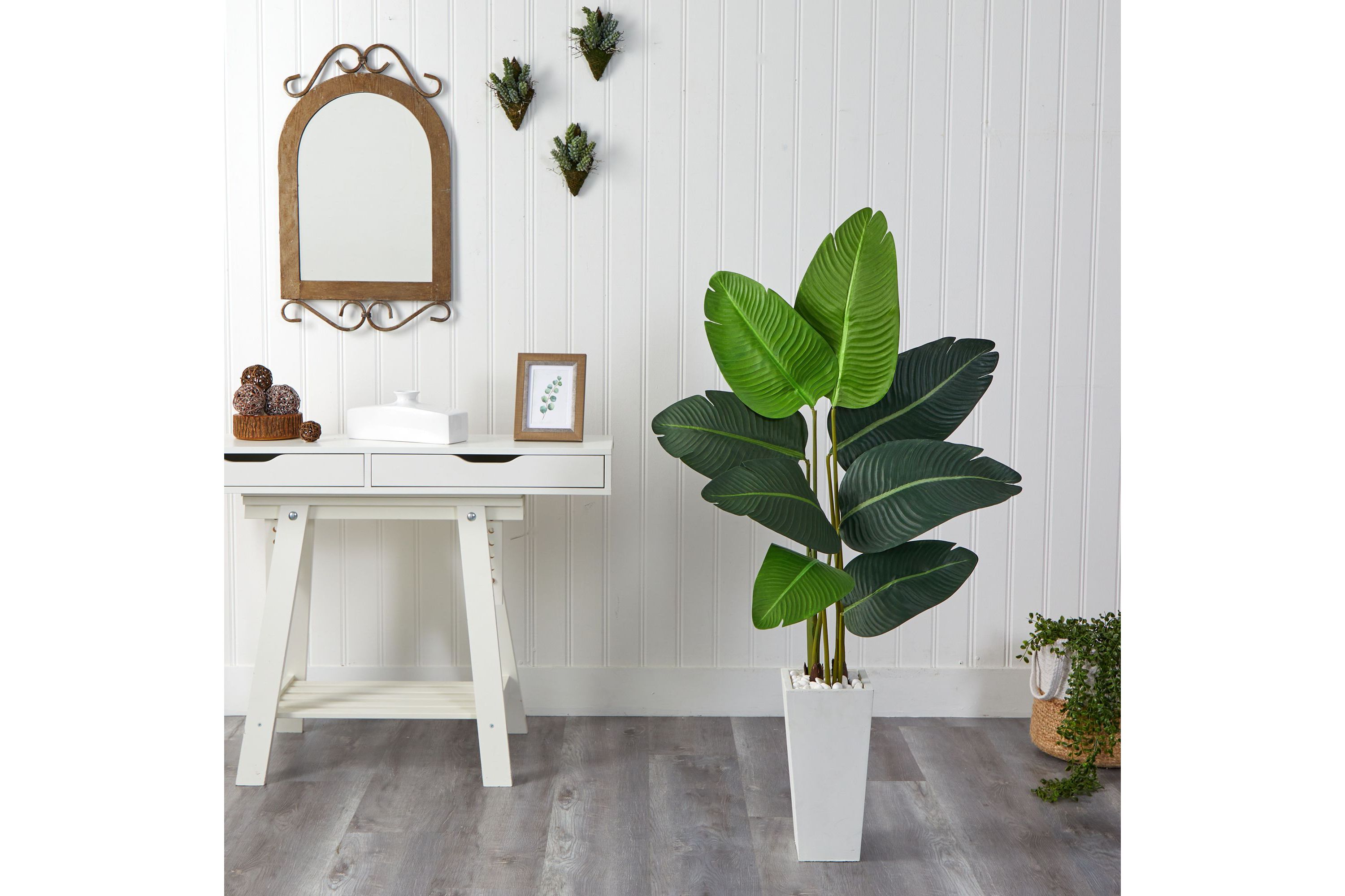 4.5-Foot Travelers Palm Artificial Tree in White Planter
