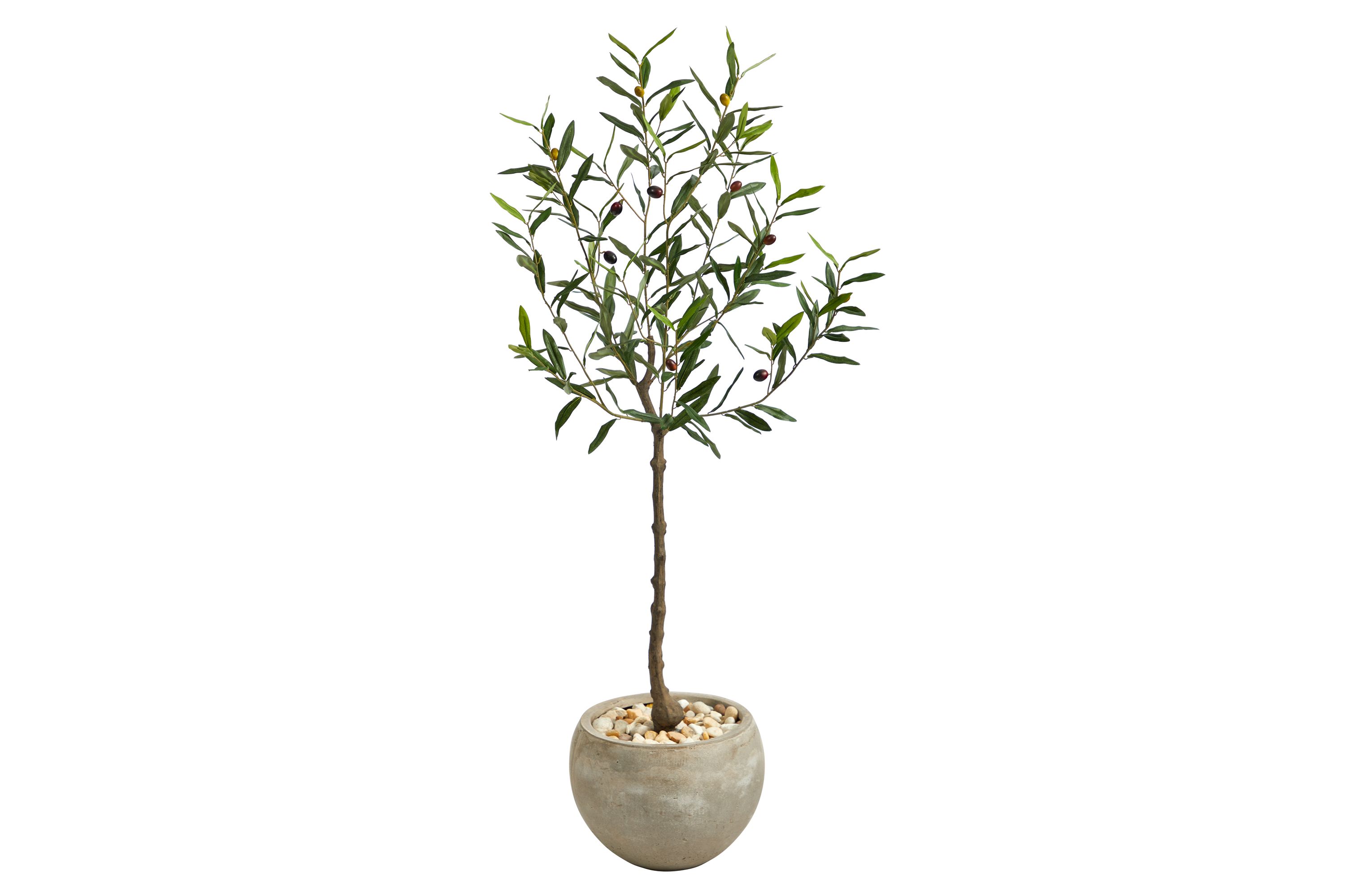 50-Inch Olive Artificial Tree in Sand Colored Planter